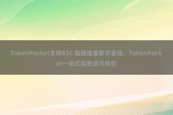 TokenPocket支持BSC 粗陋措置数字金钱：TokenPocket一站式加密货币钱包